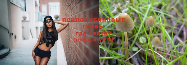 ешки Михайловка