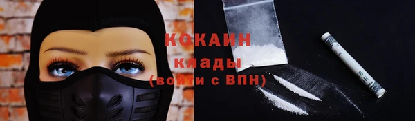 соль ск Михайлов