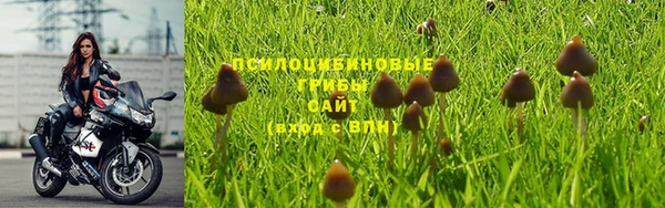 марихуана Медногорск