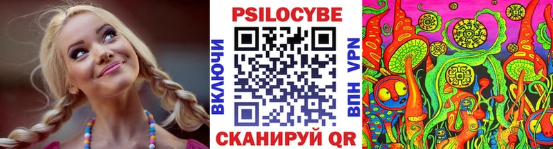 Галлюциногенные грибы Cubensis  Купить закладки  Сегежа 